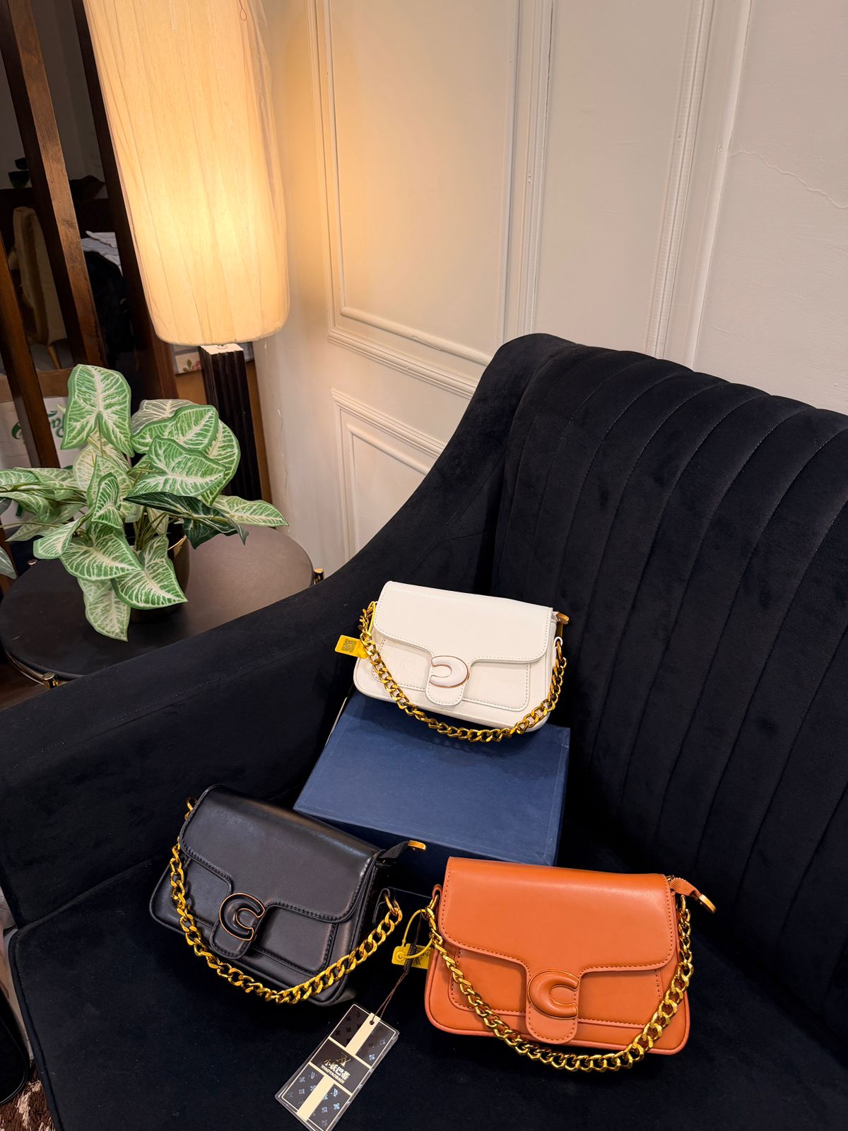 Coach Crossbody Bags For women