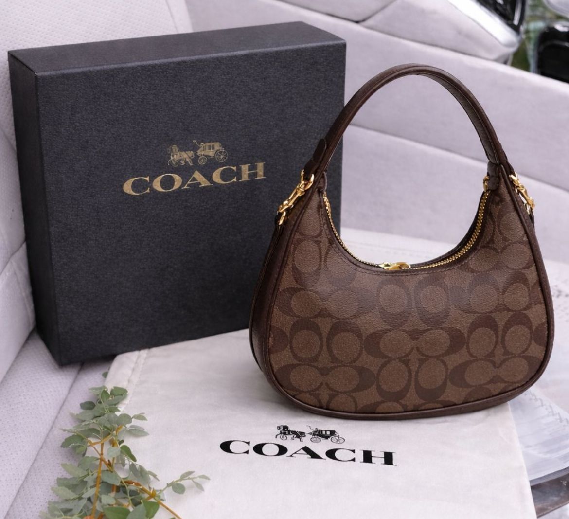 Coach moon style Handbags