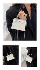Metalic Hermes Crossbody