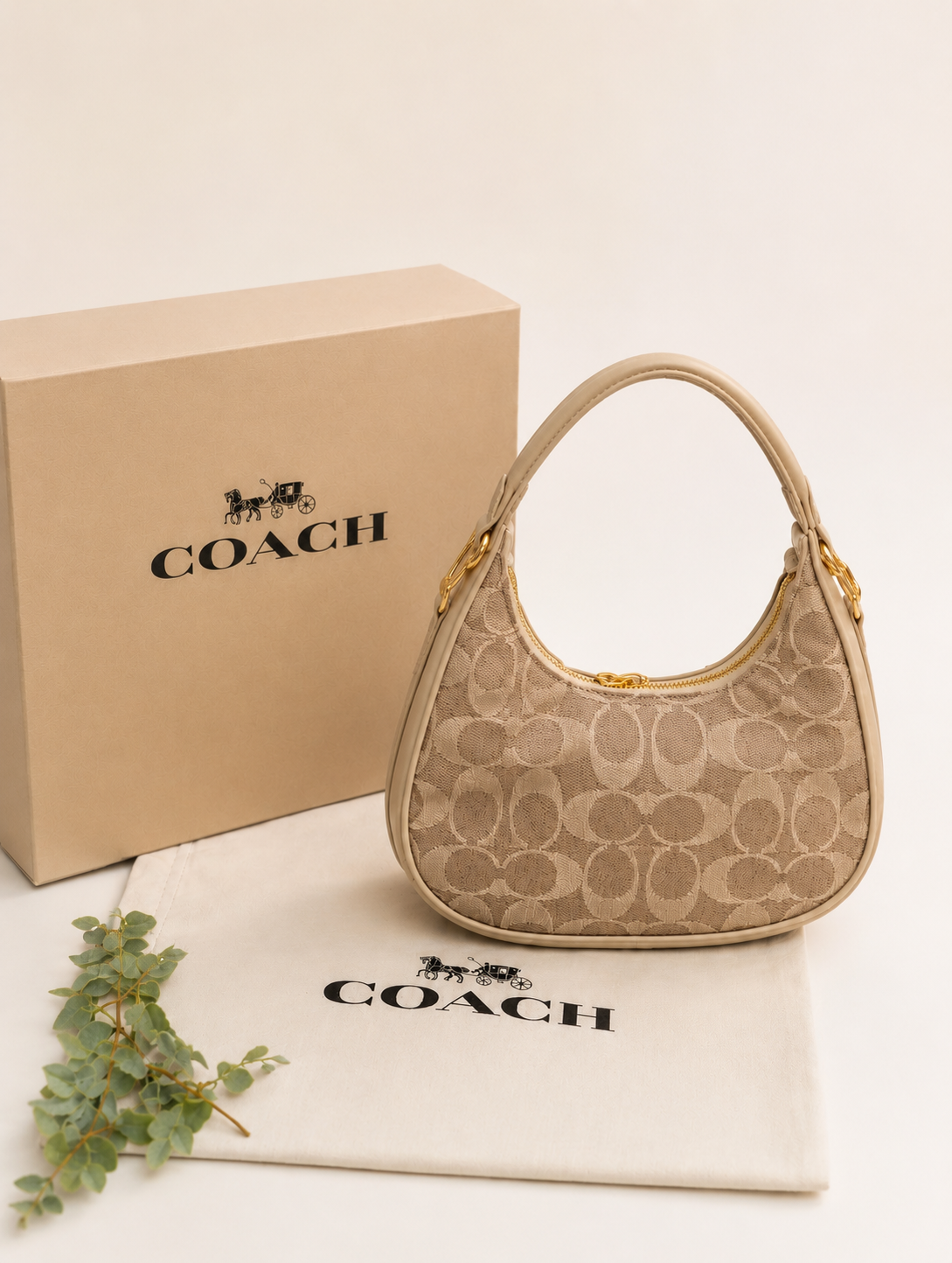 Coach moon style Handbags
