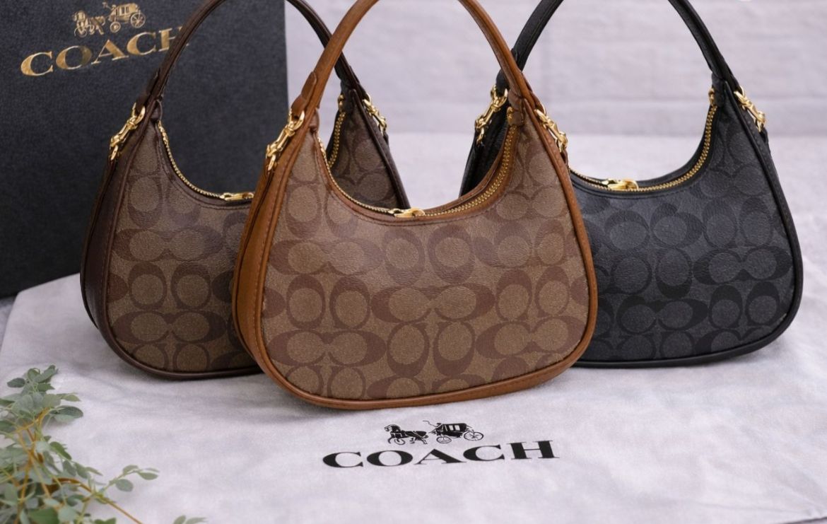 Coach moon style Handbags